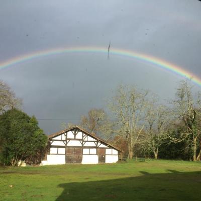 0e3d65f6 B17e 4afd A5dd E878b41994ad