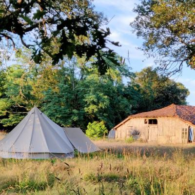 59061936 Adf1 49ce 89cb C4b60601fed1