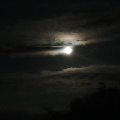 755a8959 D582 4e6f B135 C355e3be25c2